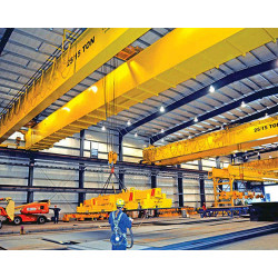 NPORS Overhead Crane N104